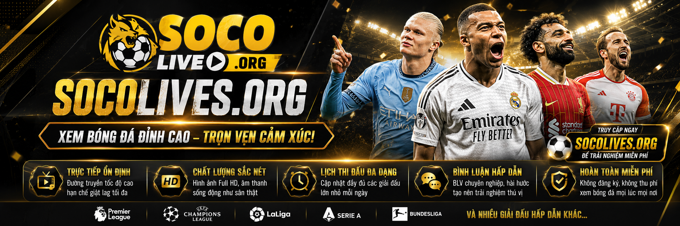 banner socolive