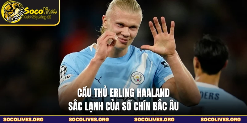 Cầu Thủ Erling Haaland - Sắc Lạnh Của Số Chín Bắc Âu