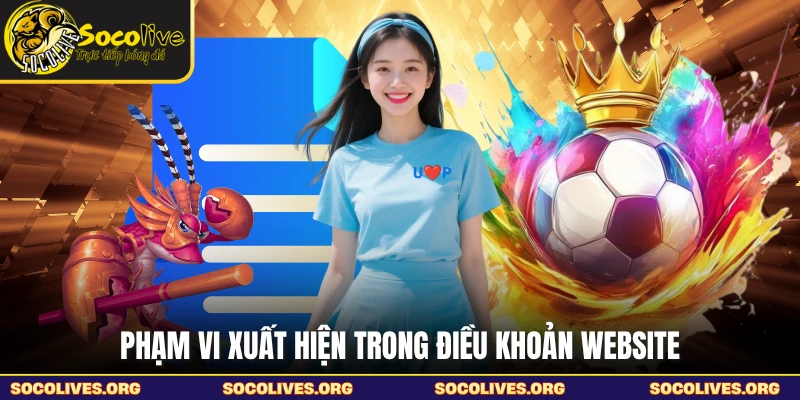 Phạm vi xuất hiện trong điều khoản website